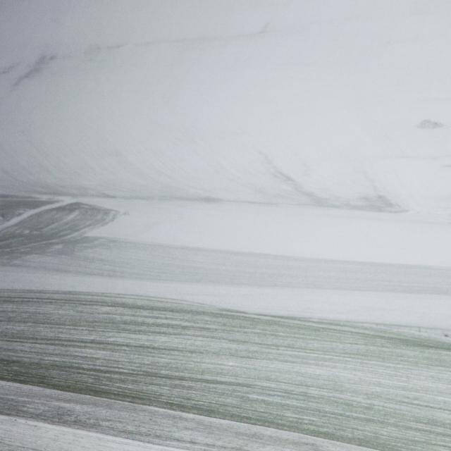 A snowfall (16)